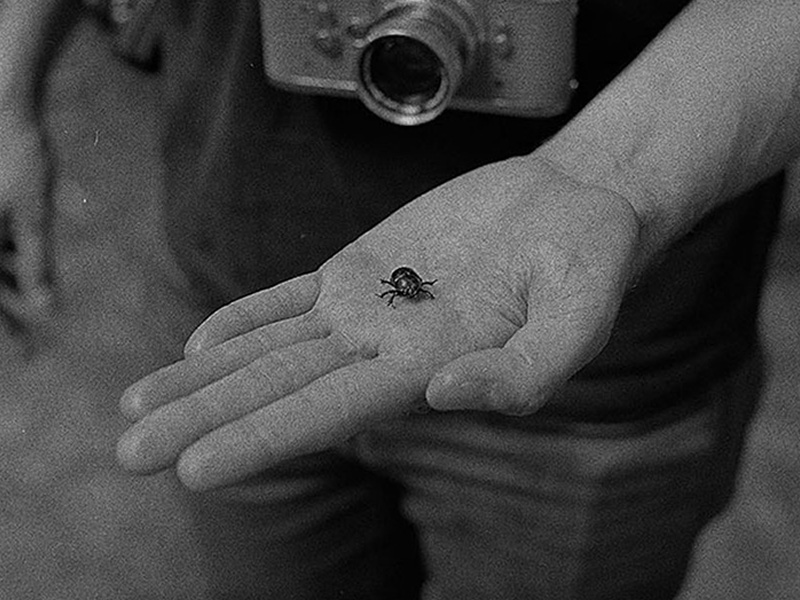 Foto van de allereerste trip, waar het idee van De Navigator is ontstaan