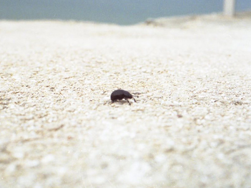 Foto van de allereerste trip, waar het idee van De Navigator is ontstaan