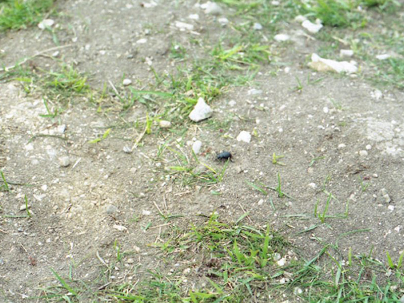 Foto van de allereerste trip, waar het idee van De Navigator is ontstaan